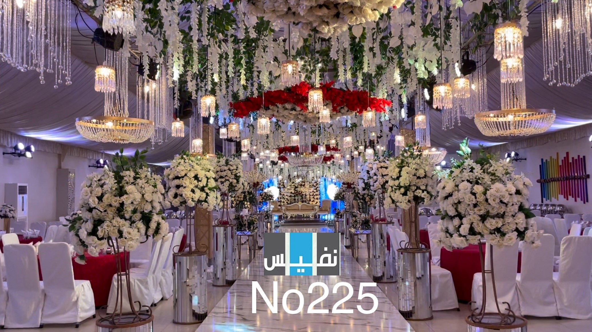 images/barat/225.jpg